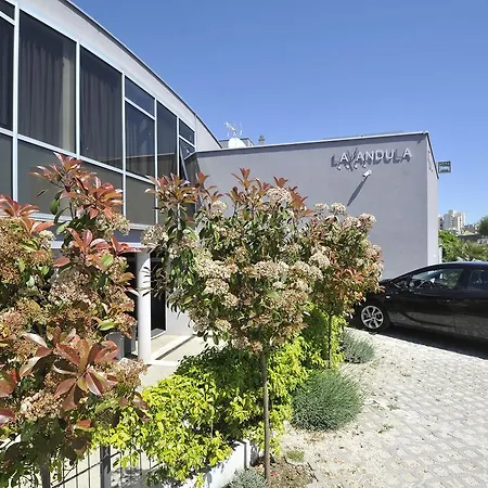 Πανσιόν & Lavandula Exclusive